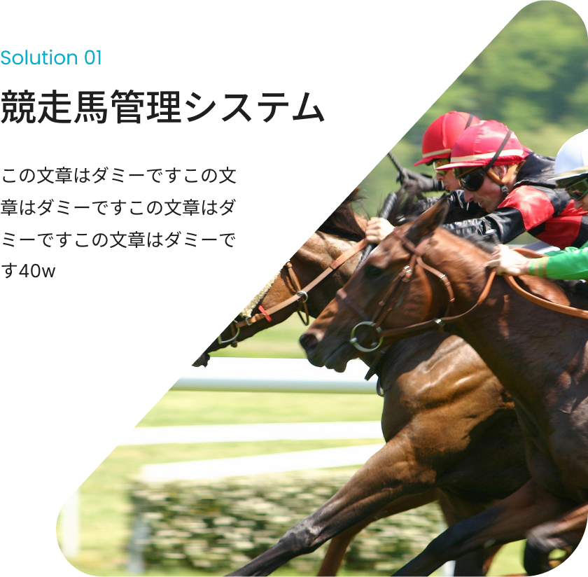競走馬管理システムのイメージ